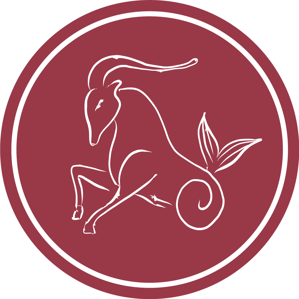 Horoscope du Capricorne PREDiVi